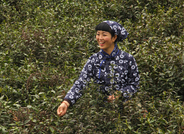 侦探游戏 166网主播